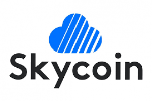 TheMerkle Skycoin