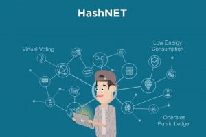 TheMerkle Tolar Hashnet