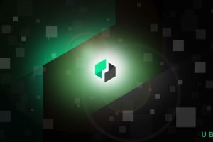 TheMerkle Ubiq Coin