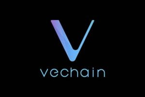 TheMerkle VeChain Blockchain
