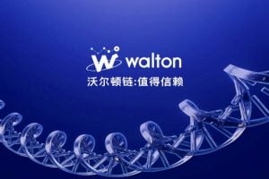 TheMerkle WaltonChain