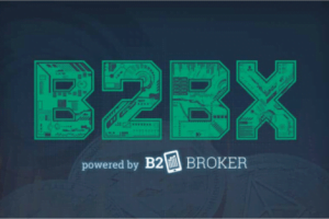 b2bx logo