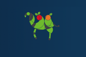 camelgram logo