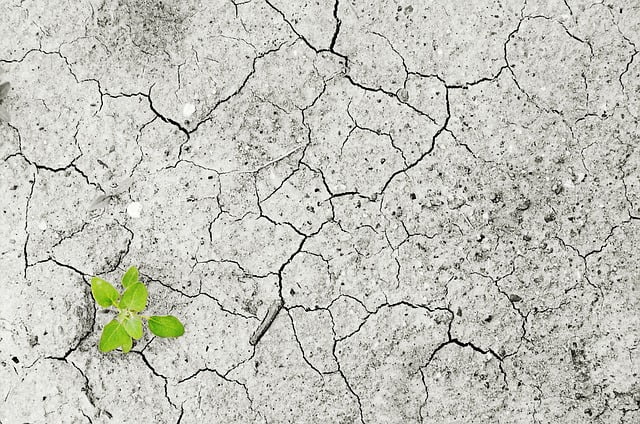 cybersecurity famine