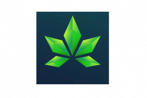 paragon logo