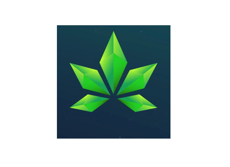 paragon logo
