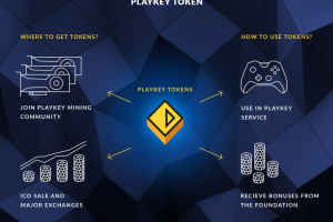 playkey logo