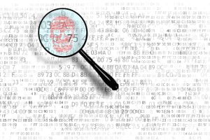 TheMekle Bitcoin Gold Hidden Mining Fee