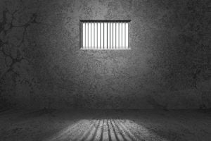 TheMerkle Coin.mx Lebedev Jail