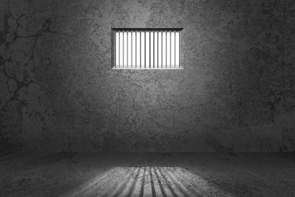 TheMerkle Coin.mx Lebedev Jail
