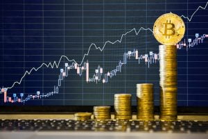 TheMerkle Bitcoin Altcoins Gavin Brown