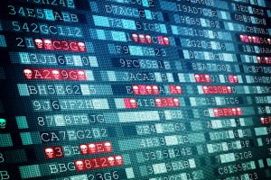 TheMerkle YIIMP Mining Pool Software