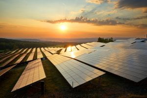 TheMerkle Collie Bitcoin mining Solar Power