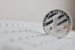TheMerkle eLTC Useless Token