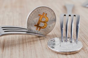 TheMerkle Bitcoin Cash Difficulty