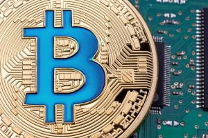 TheMerkle Bitcoin SegWit Transactions