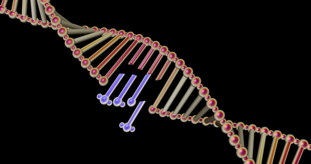 TheMerkle DNA Splicing CRISPR DIY