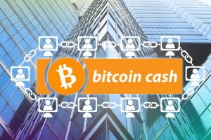TheMerkle Bitcoin Cash Price 3000