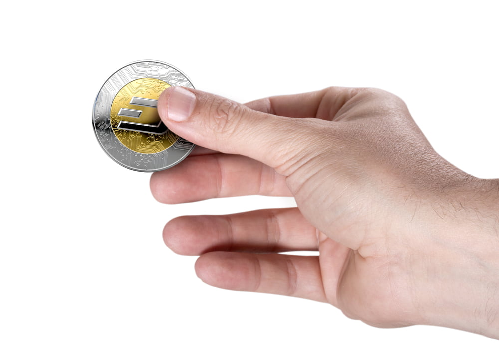TheMerkle Dash Price 300
