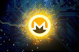 TheMerkle Fake Online Monero Wallet