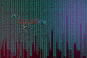 TheMerkle Electrum Wallet Vulnerability