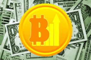 TheMerkle BCASH HYIP