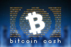 TheMerkle Calvin Ayre Bitcoin Cash 10k