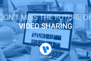 viuly logo